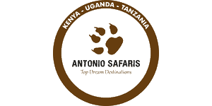 Antonio Safaris Logo