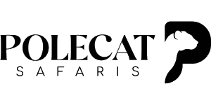 African Polecat Safaris African Polecat Safaris Logo