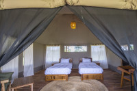 Twin double room