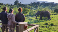 View from Rhino Lodge deck