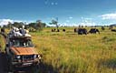 Learn more about the eight major safari countries in our video
