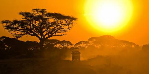 7-Day Maasai Mara, Naivasha, Nakuru, & Amboseli