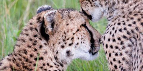 8-Day Vic Falls Adventure, Chobe Park & Okavango Delta