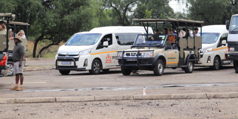 4-Day Pilanesberg Tlou Tented Safari